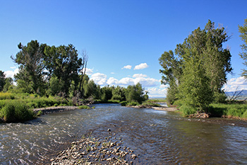 Gallatin River