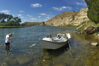 Madison River fishing