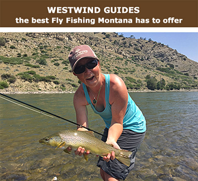 Westwind Guides -- the best fly fishing montana has to offer